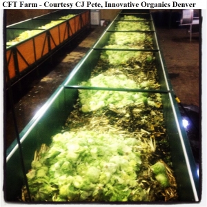 CFT CJ PETE innovative organics denver wm            